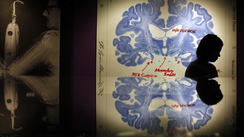 How can we map the human brain? | World Economic Forum